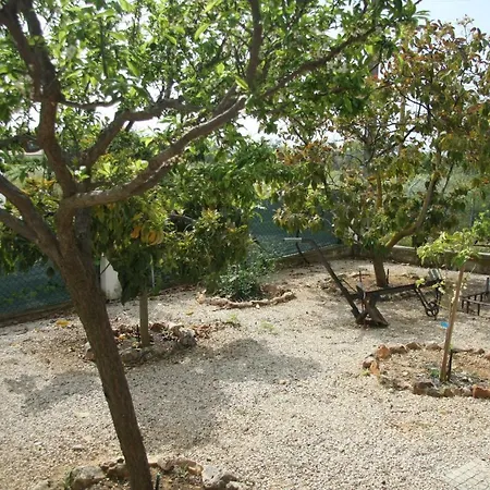 Guerreiro Albufeira